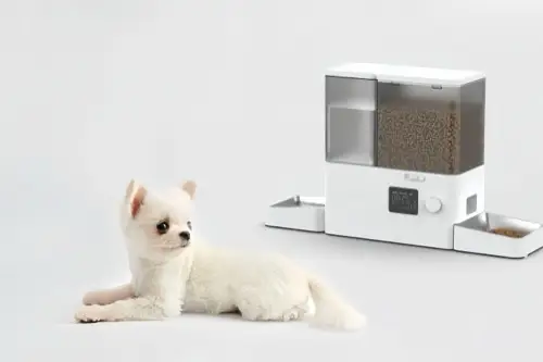 Automatic Feeder (Variant)